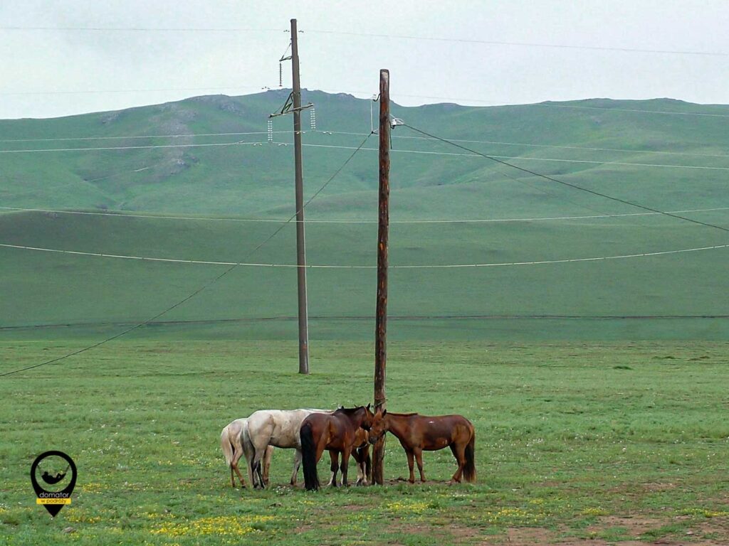 Mongolia 2006 0198