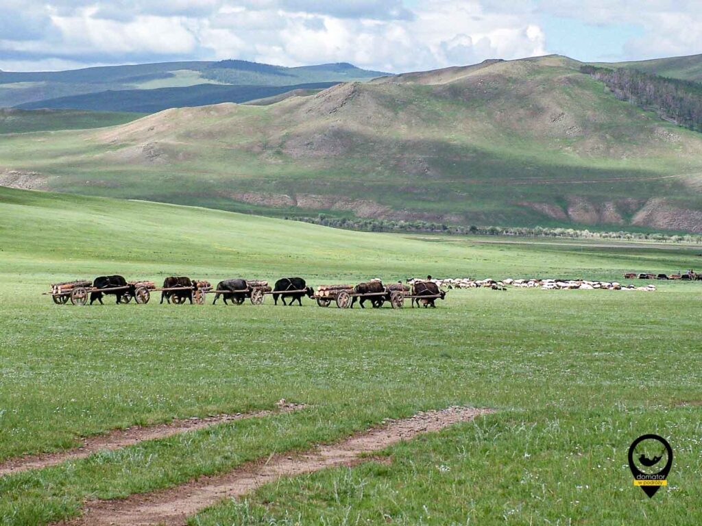 Mongolia 2006 0292