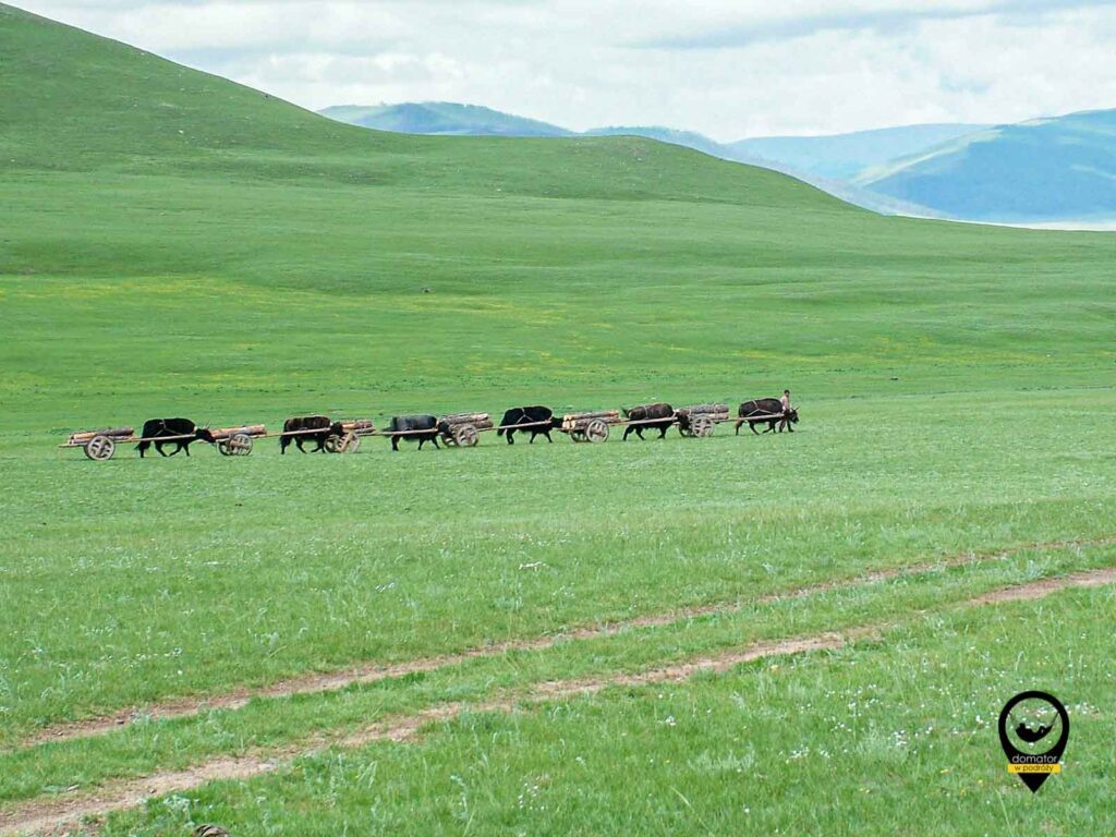 Mongolia 2006 0291 1