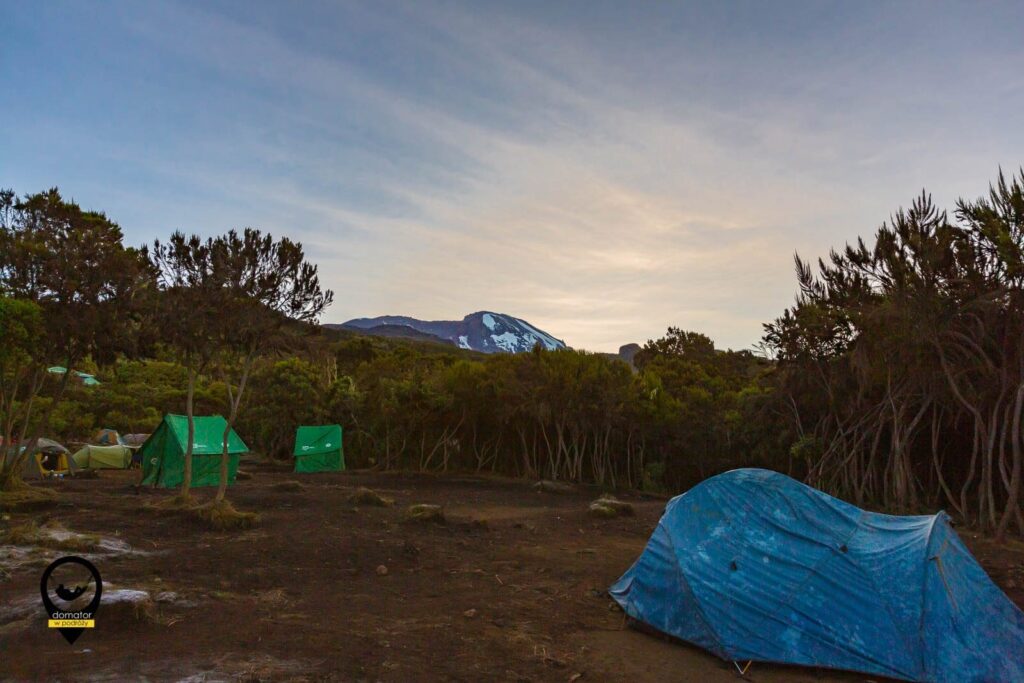 Kilimanjaro 2013 0022