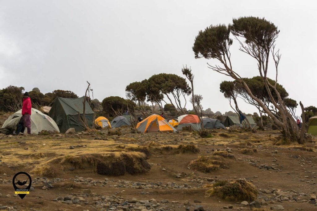 Kilimanjaro 2013 0067